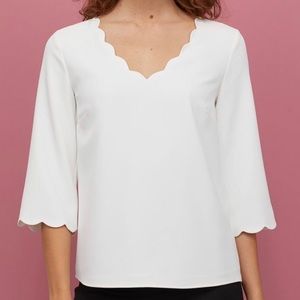 V Neck Scalloped Edge Blouse